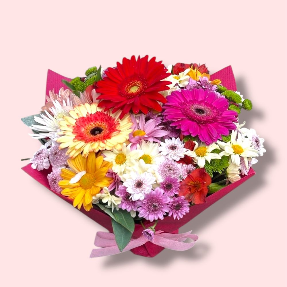 WhatsApp Image 2025-11-03 at 6.06.42 PM (3)