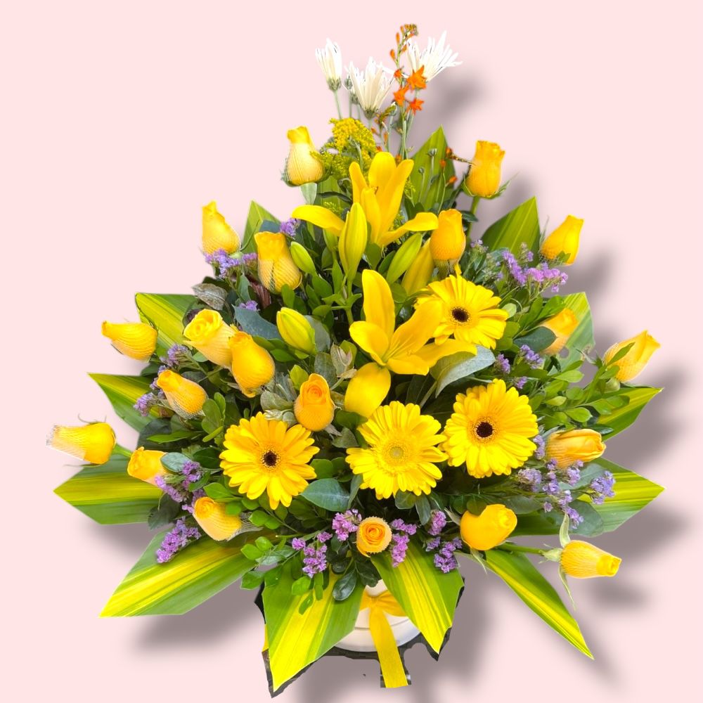 WhatsApp Image 2025-11-03 at 6.06.46 PM (1)