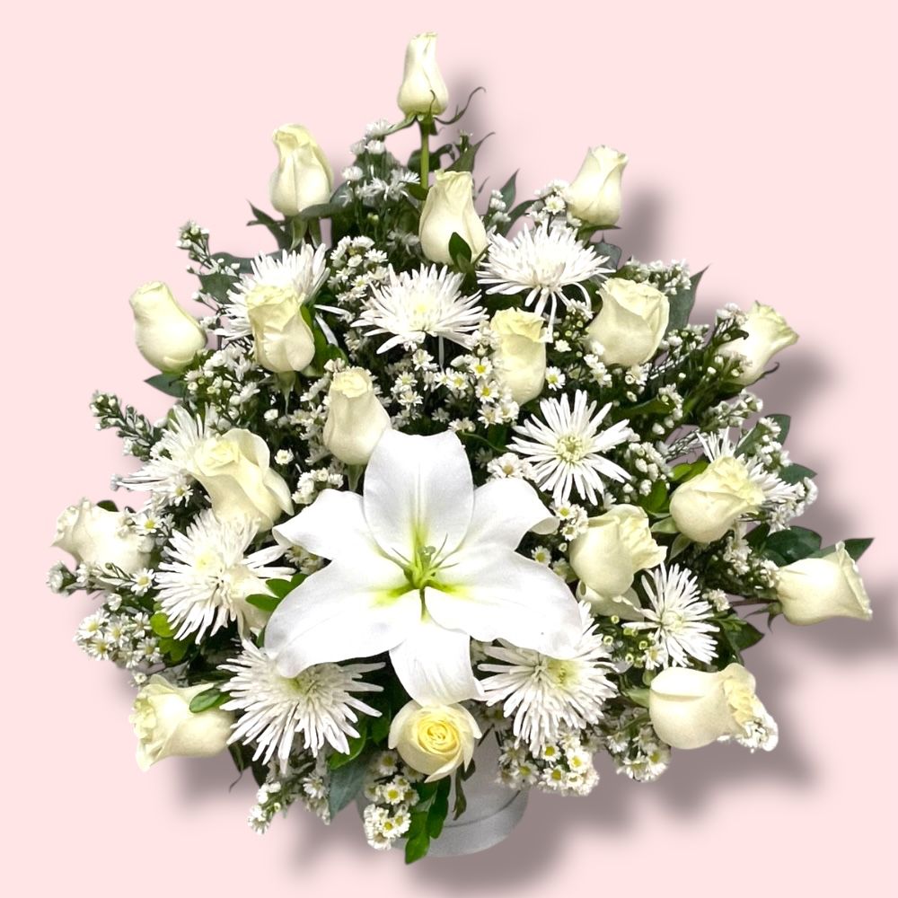 WhatsApp Image 2025-11-03 at 6.06.46 PM (3)